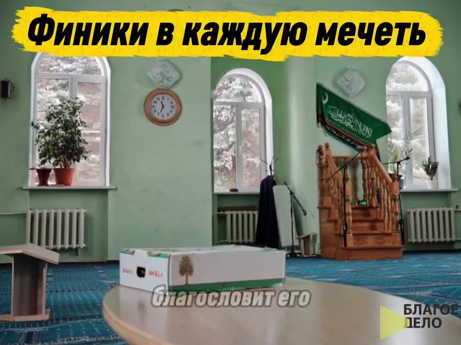 Видео: нейросеть + озвучка + монтаж